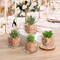 Set of 4 Mini Artificial Succulent Plants in Cube Glass Pots – Small Fake Potted Succulents for Bathroom, Kitchen, Living Room, Shelf, Desk & Home Decor
